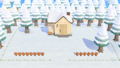 C-2: Winter