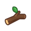 Ast