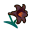 Dunkellilie