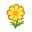 Gelbcosmea
