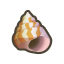 Kreiselschnecke