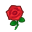 Liebesrose
