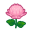 Rosachrysantheme