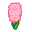 Rosahyazinthe