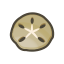 Sanddollar