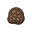 Seltenpilz