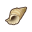 Tritonshorn