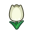 Triumphtulpe