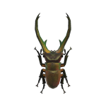 Cyclommatus