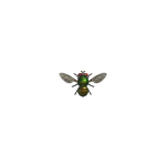 Fliege