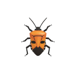 Gesichtswanze