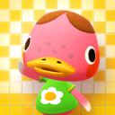 Foto von Quacks in Animal Crossing: New Horizons
