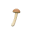 Pilzstab
