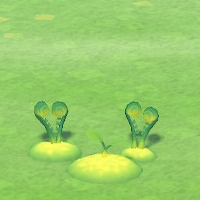 Leuchtmoos und Ranken (New Horizons) Animal Crossing Wiki