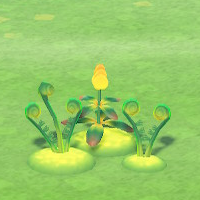 Leuchtmoos und Ranken (New Horizons) Animal Crossing Wiki
