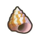 Muscheln (New Horizons) - Animal Crossing Wiki