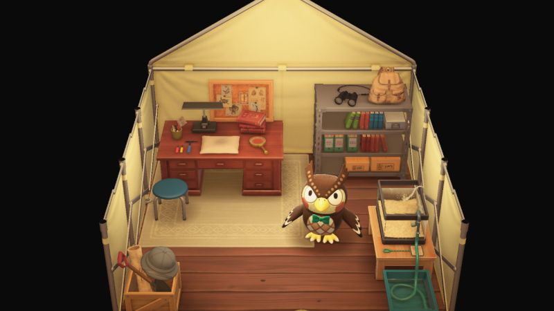 Animal Crossing New Leaf Museum Erweitern Wo Spenden Museum (New Horizons) - Animal Crossing Wiki