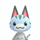 Feline