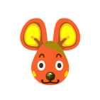 Schoki