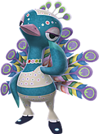 Pavo
