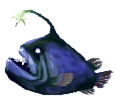 anglerfisch.png