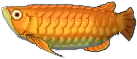 arowana.png