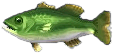 barsch.png