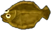 flunder.png