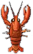 flusskrebs.png