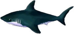 hai.png