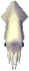 kalmar.png