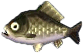 karausche.png