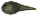 kaulquappe.png