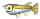killifisch.png