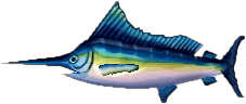 marlin.png