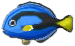 paletten-doktorfisch.png