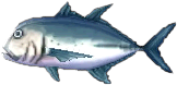 pferdemakrele.png
