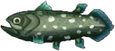 quastenflosser.png