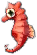 seepferdchen.png