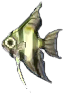skalar.png