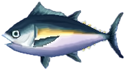 thunfisch.png