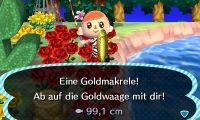 Initiative Goldmakrele