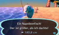 Initiative Napoleonfisch 