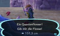 Initiative Quastenflosser