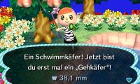 Initiative Schwimmkäfer