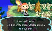 Initiative Zeit für Zikaden