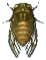 abendzikade.png