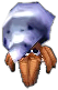 einsiedlerkrebs.png