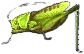grashuepfer.png