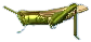 heuschrecke.png